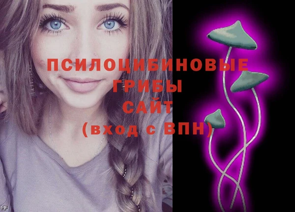гидра Кодинск